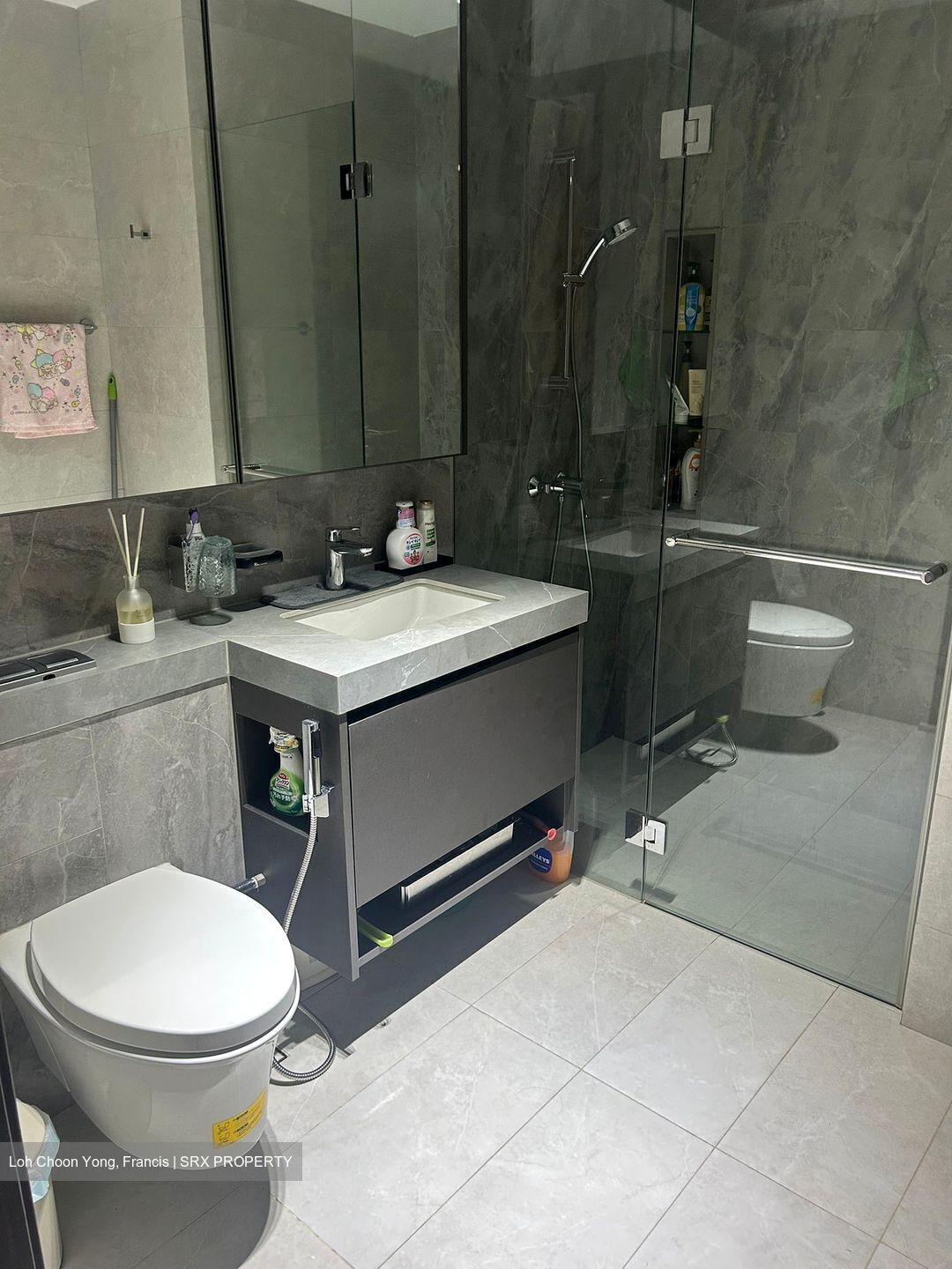 Parc Clematis (D5), Apartment #531724821